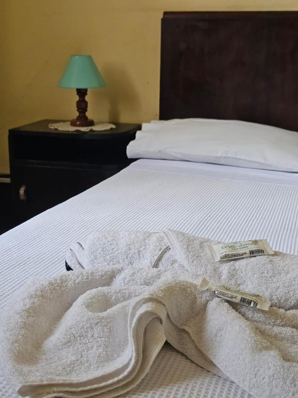 Varzea Palace Hotel Teresopolis Bagian luar foto